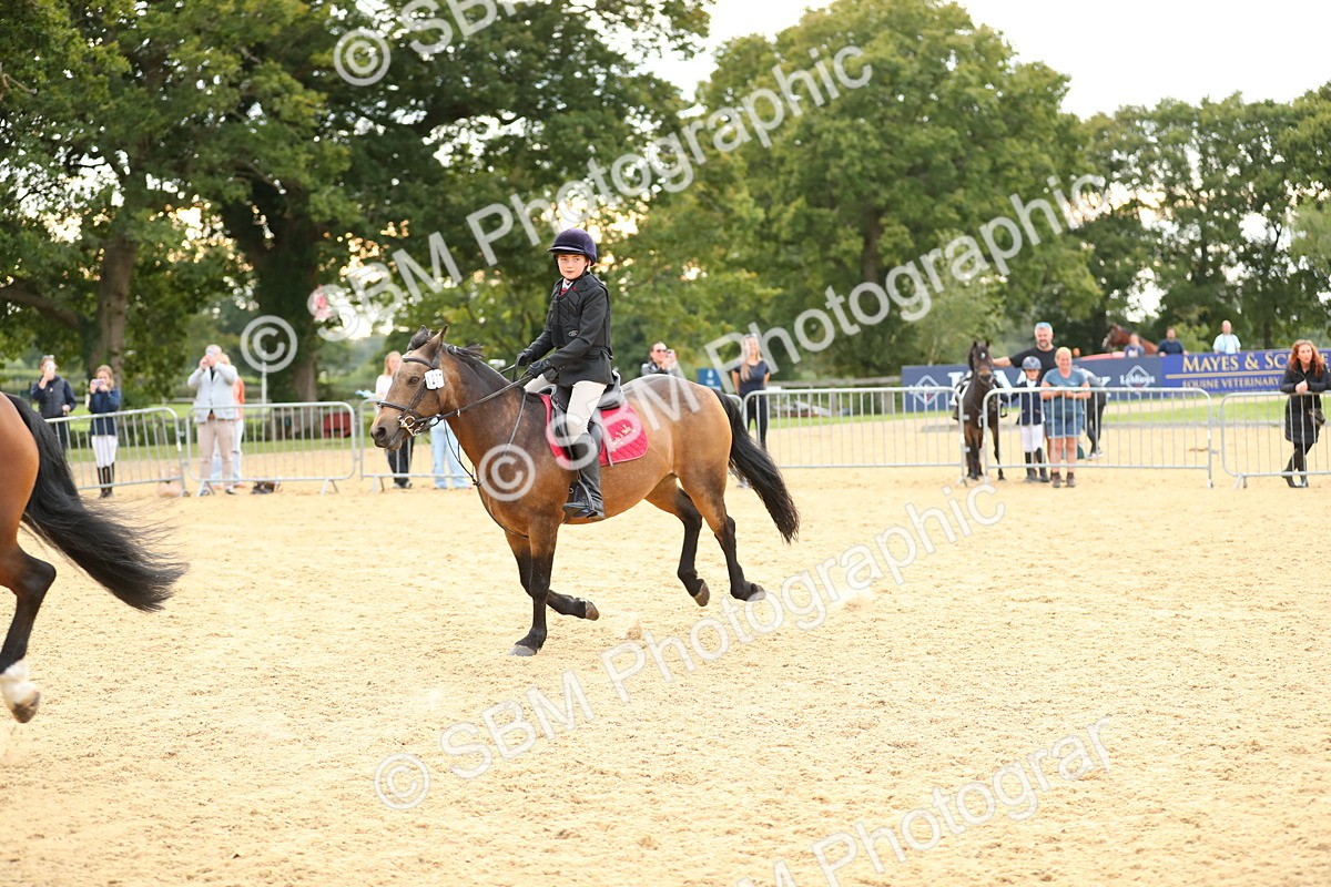 SBM_76239 - J19 - Junior 90cm Supreme Championship