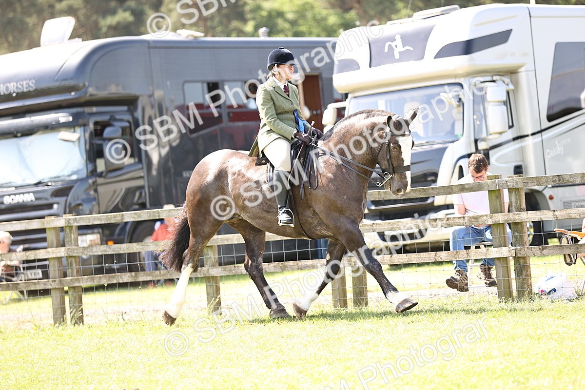 SBM_13847 - Class 77 - LIHS BSHA Rising Star Cobs