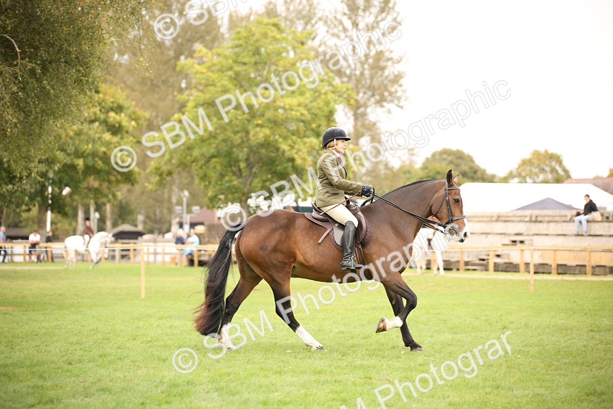 SBM_72381 - S67 - Show Cob Ridden