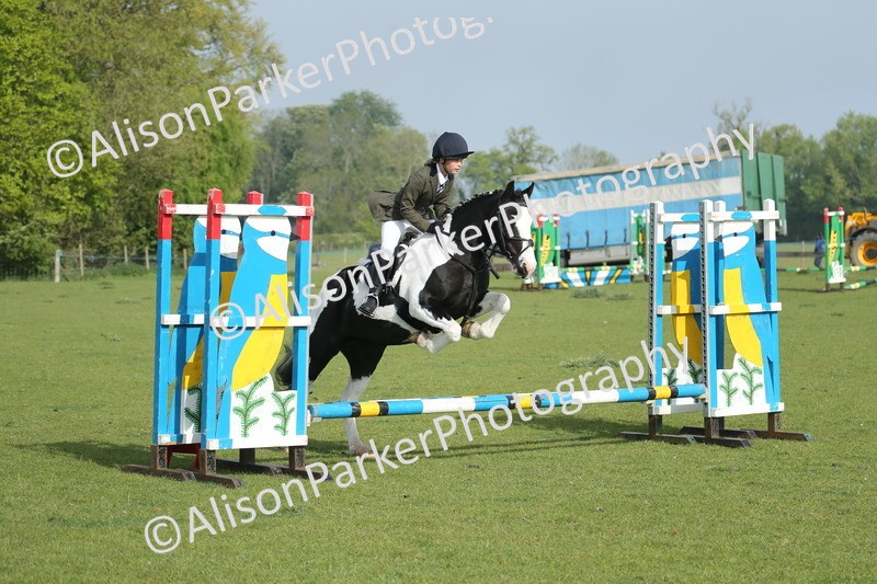 20260426-0014 - Class 13 - Rookie Jumping 50cm