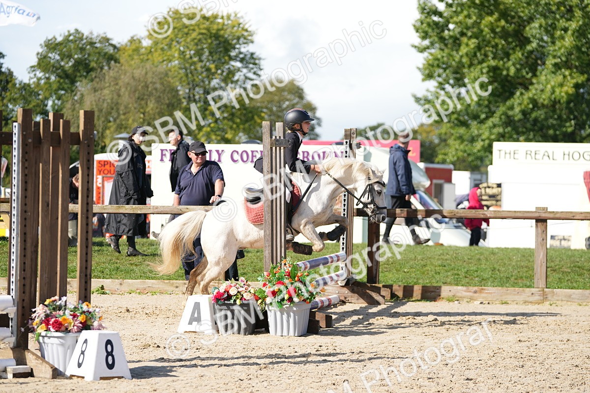 SBM_38357 - J6 - Junior Pony 55cm Championship