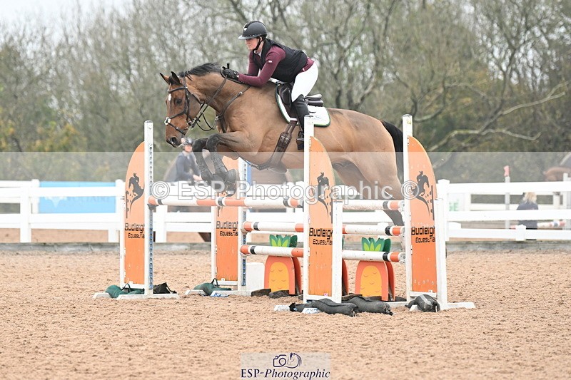 241102A-101758-03753 - SAT Cls 14 Blue Chip Joint Care Power Champ Quali