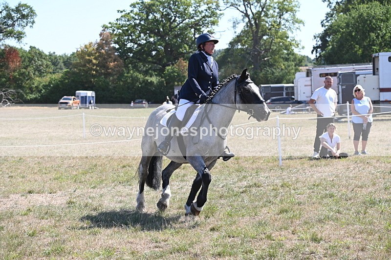 WJ6_8899 - Class 38 Ridden Riding Horse/Pony