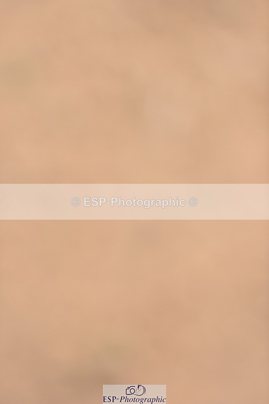 231011A-110424-00150 - Cls 2 Discovery & 1m Open