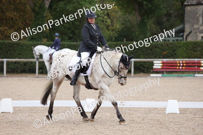 20250820-0104 - Class 7 - My Quest Intro 3