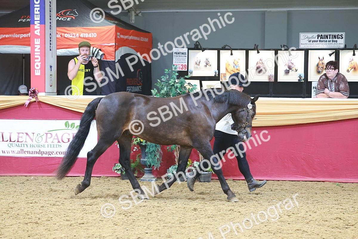 SBM_16588