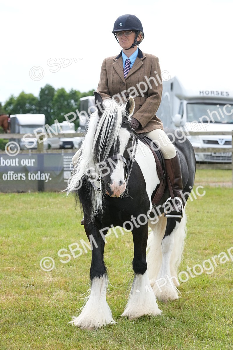 SBM_17333 - Class 107-108 - LIHS BSPS Performance Coloured Horse Pony