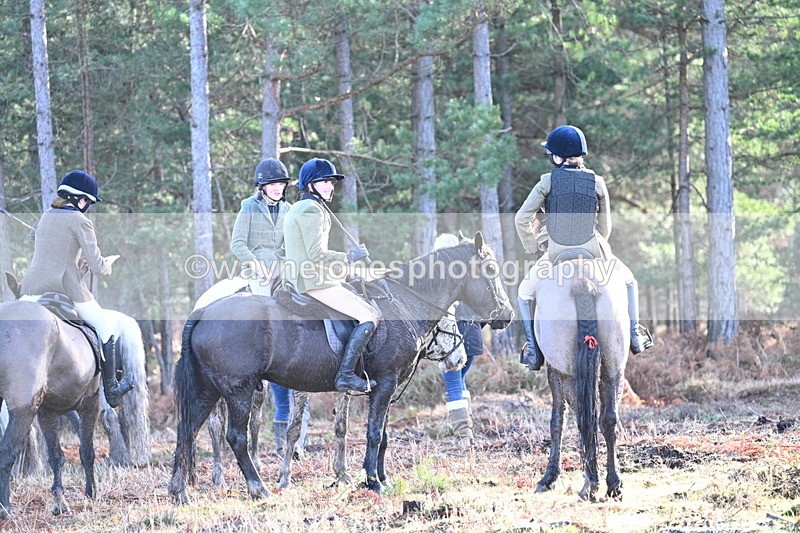 WJ7_7432 - Line 3 (no line 4 or 5)