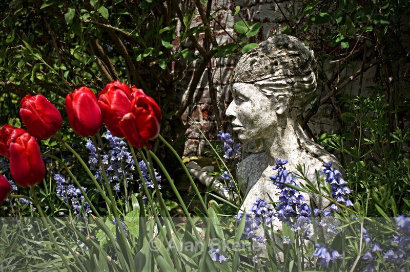 DSC05801 - Flora