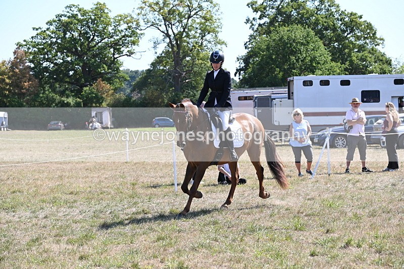 WJ6_8856 - Class 38 Ridden Riding Horse/Pony