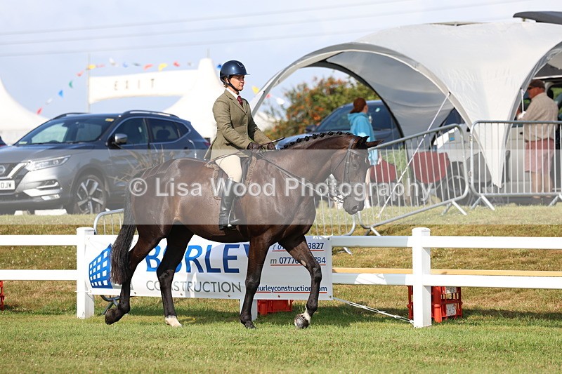 3E7A8473 - Class 3: Rising Star S/L Hunter