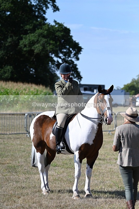 WJ7_3183 - Class 8 Ridden Tack & Turnout