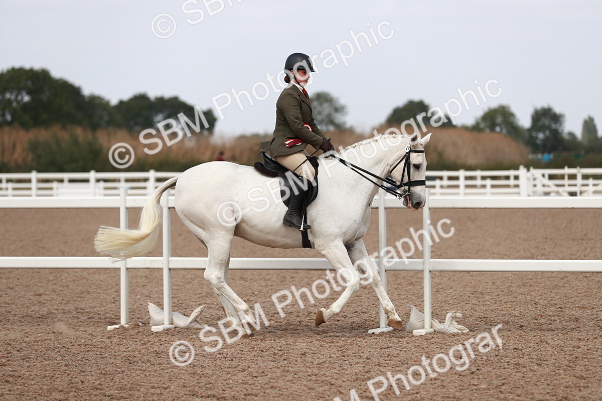 SBM_14934 - Class 212 Ridden Hunter - Small