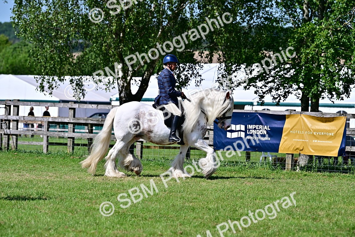 SBM_19352 - Class 101-102 - BSPS LIHS Performance Coloured Horse/Pony