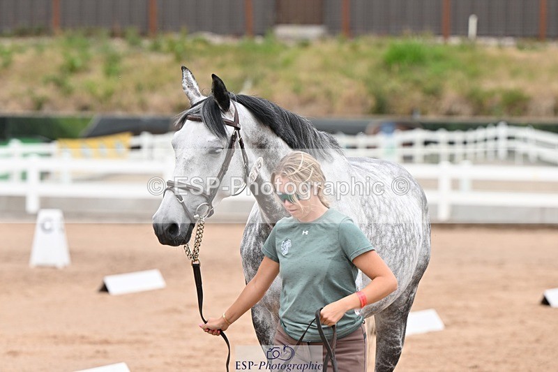 250716-143644-01246 - Trot Up 2.30 to 3.30