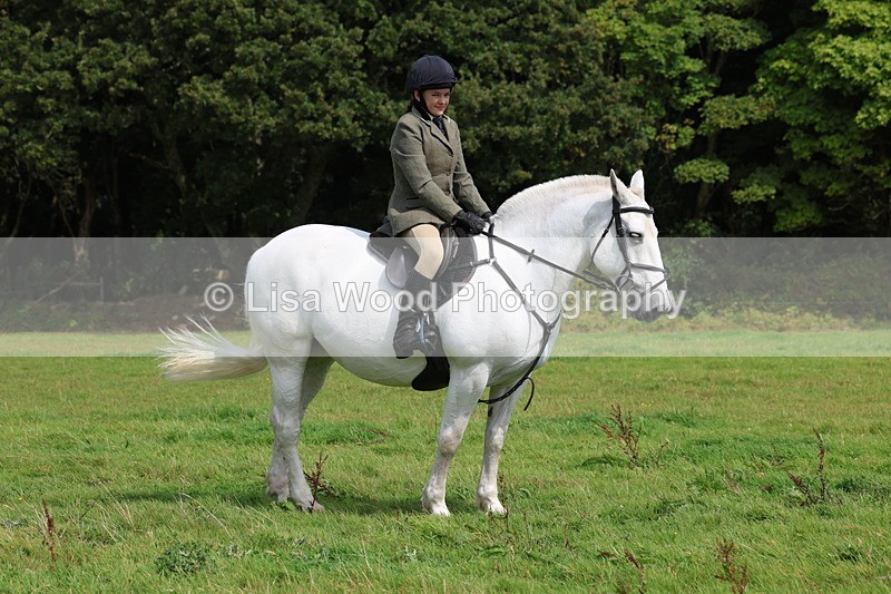 3E7A6008 - Class 28: 75cm Working Hunter