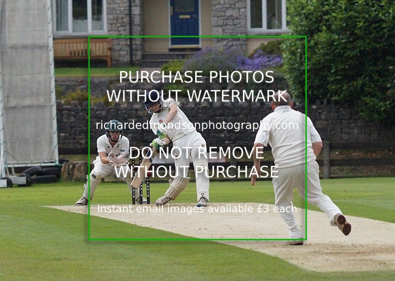DSC02911 - Cricket Images 2019