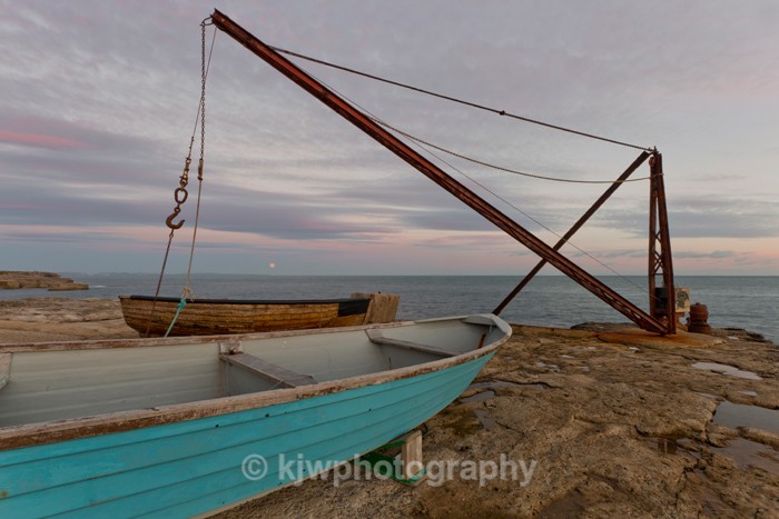 Moonrise, Red Crane - Gallery 2