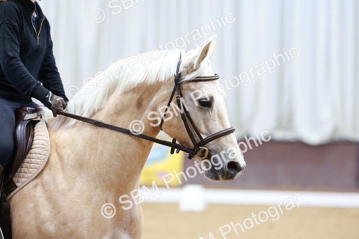 1I0A0616 - Class 3-6 - Prelim 1-Novice 2