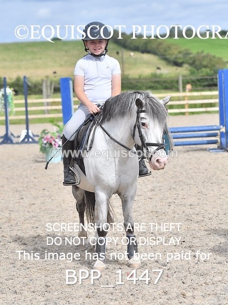 BPP_1447 - DERBY CLASS 2 - 30CM