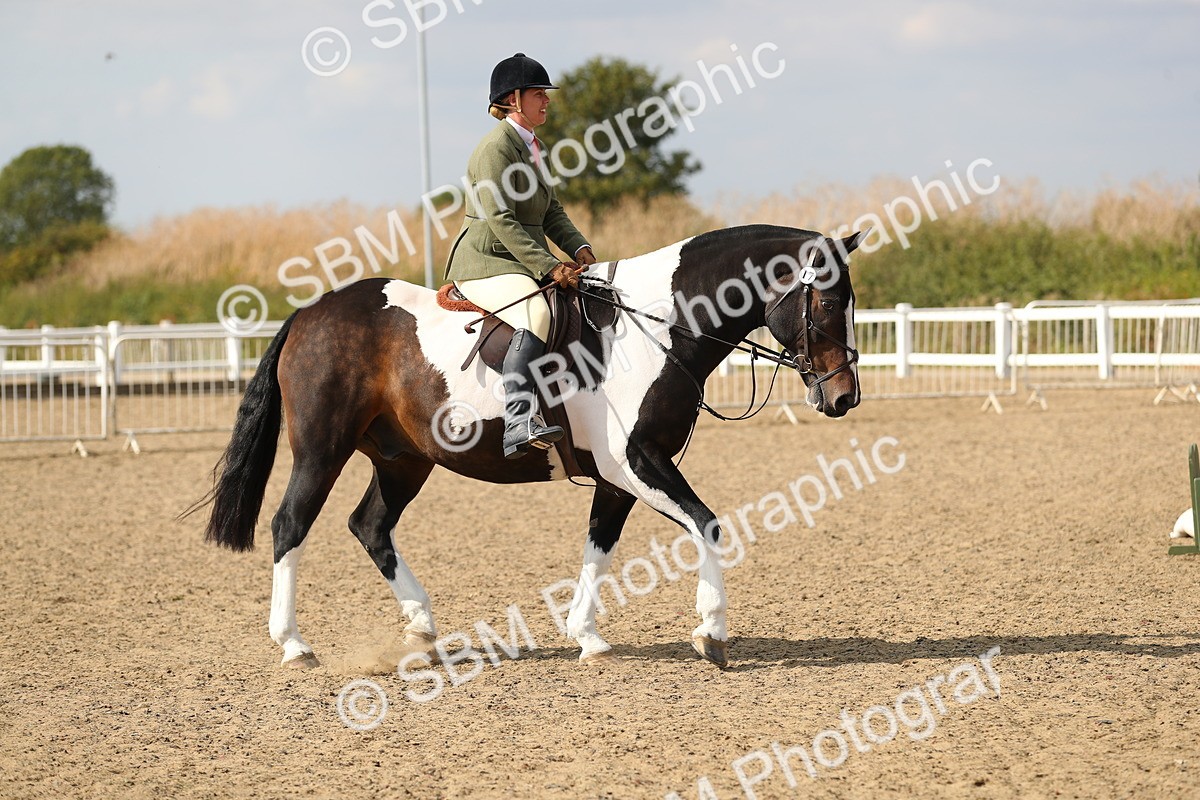 SBM_06819 - Class 49a Style & Performance 80cm (15-19)