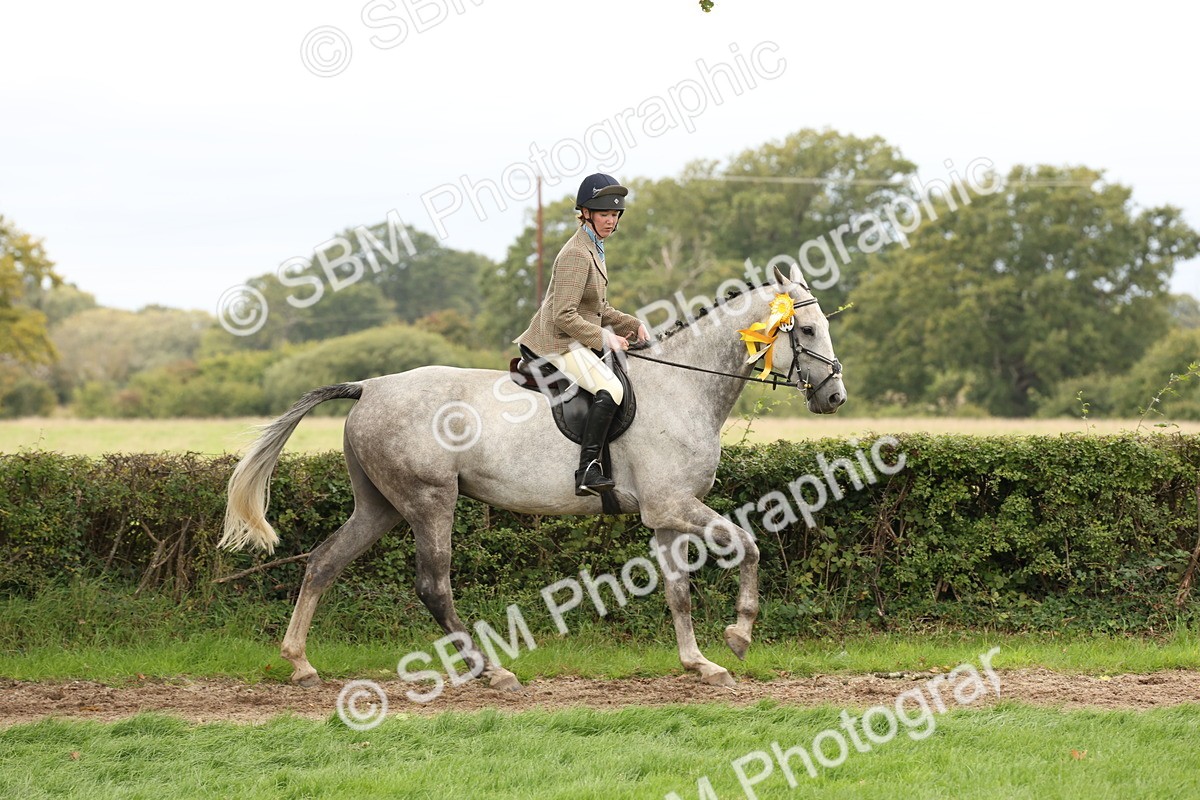 SBM_66431 - S66 - Hunter Ridden
