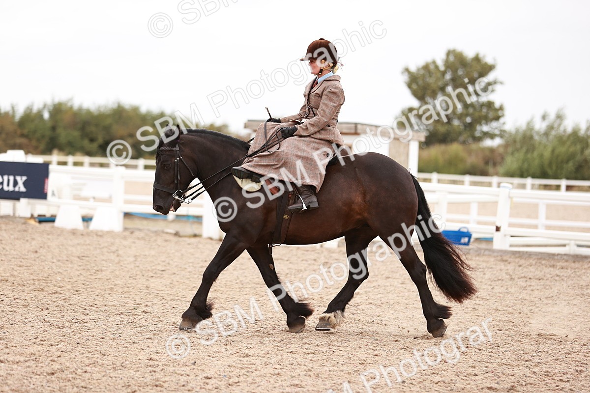 SBM_19046 - Class 422 - Ridden M&M