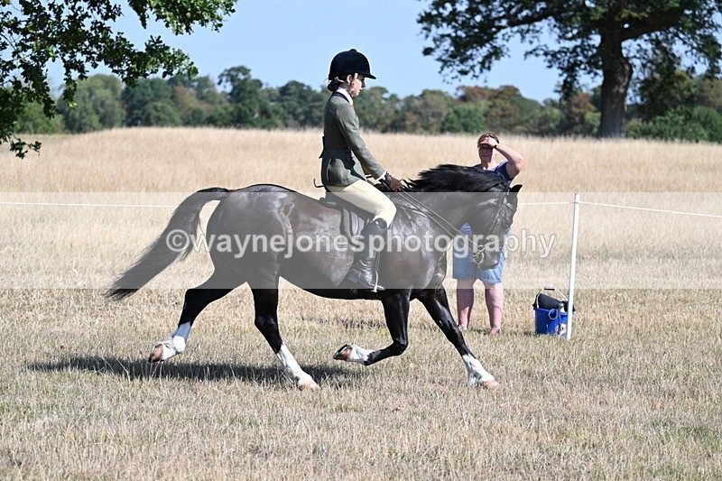 WJ7_3729 - Class 9 Mountain & Moorland Ridden
