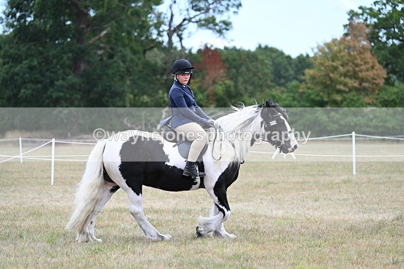 WJ7_4695 - Class 12 Ridden Cob