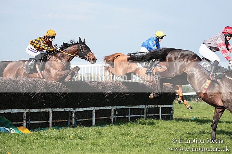 PtP 210418 537 - South & West Wilts Point-to-Point Larkhill 21/04/18