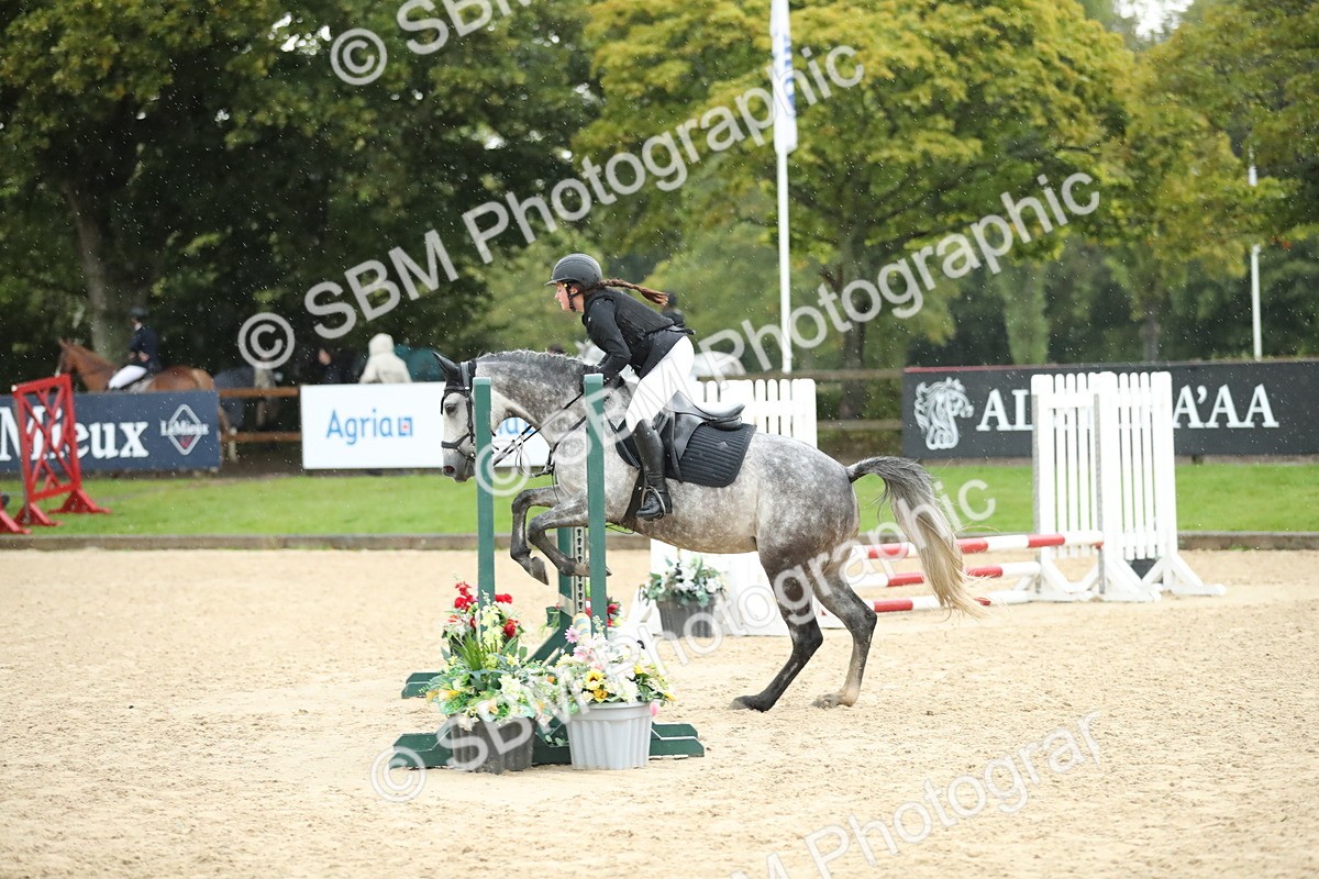 SBM_34513 - J60 Clear Round 50cm