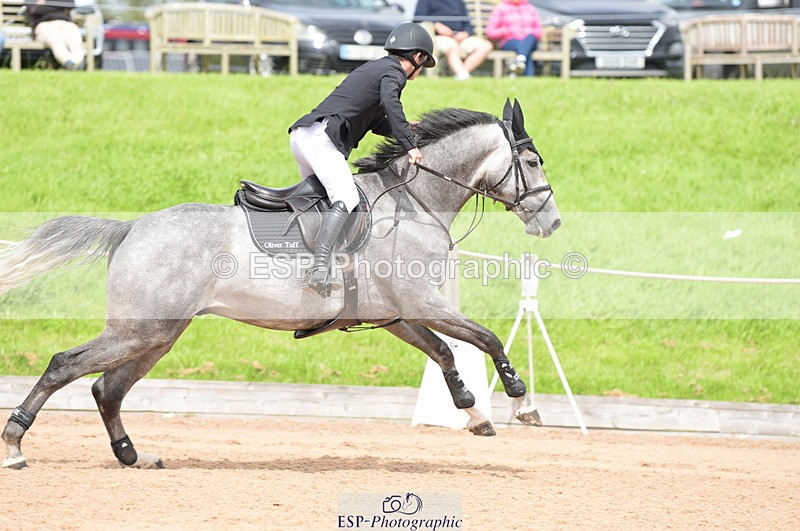 230813A-135916-13322 - Cls 49 Chard Eq 5yr Old Championship