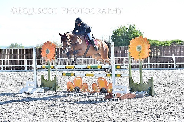 BPP_5595 - SAT CLASS 31 NEWCOMERS/1.10M