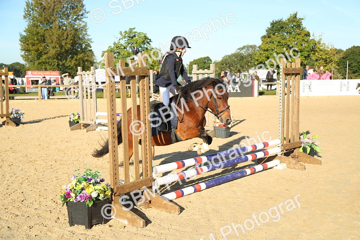 SBM_34987 - J5 - Junior Pony 50cm Championship