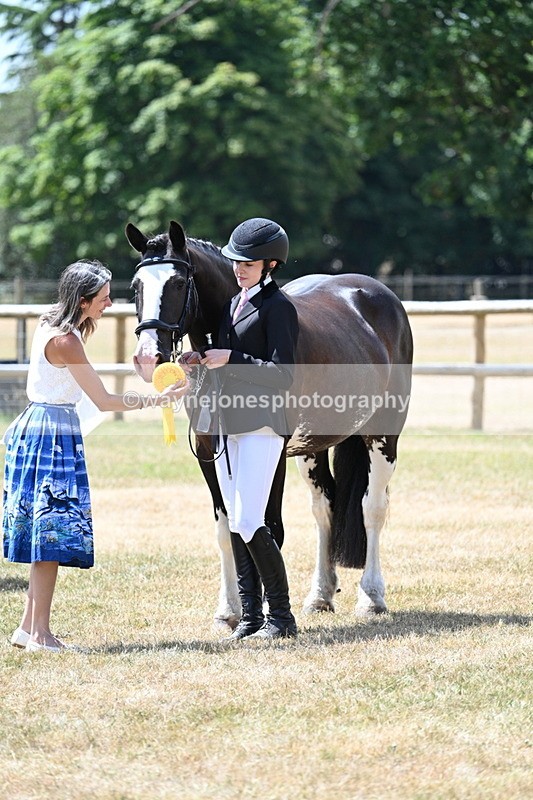 WJ7_2042 - Class 4a Prettiest Mare 14.2hh and over hand
