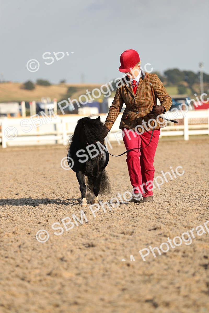 SBM_08999 - Class 29 IH Veteran Pony