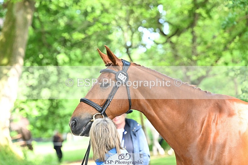 250521A-165852-01448 - C-276-Sammi.Birch-ROSAS.PARTY