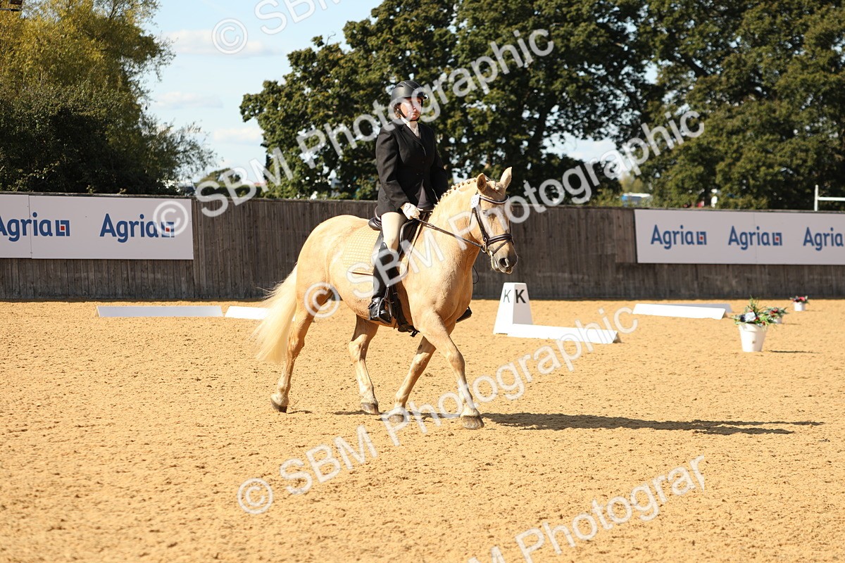 SBM_24550 - D17 - Grand Tour Championship - Novice 27