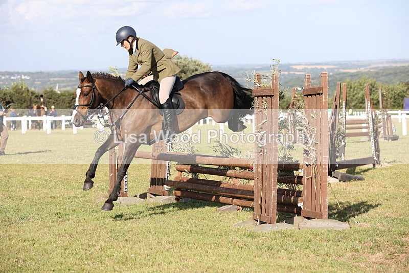 JPP_3139 - Class 21: Working Hunter 80cm