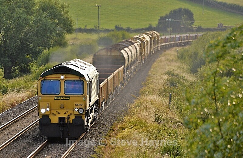 14th August 2021 - Curry Rivel (Oathe, Wick), Somerset