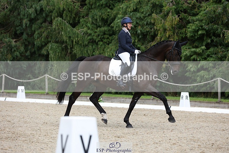 230812-152351-05124 - Cls 5 Novice Bronze 15.00 to End