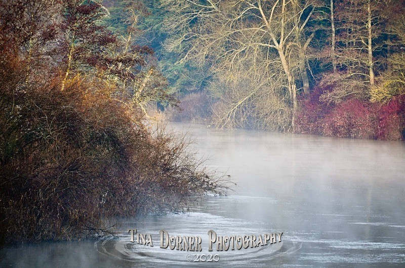 Mist rising from bend on River Wye. Forest of Dean and Wye Valley Photography - Winter portfolio by Tina Dorner