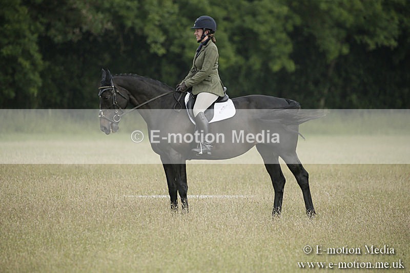 B230619-0154 - Bourne Valley Riding Club Summer Show 23/06/19