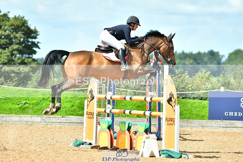 230811A-121756-04141 - Cls 20 Snr Fox