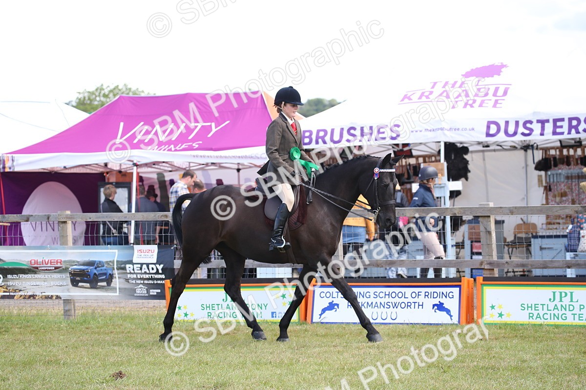 SBM_13293 - Class 95-96 - LIHS BSHA Rising Star Hack Riding Horse