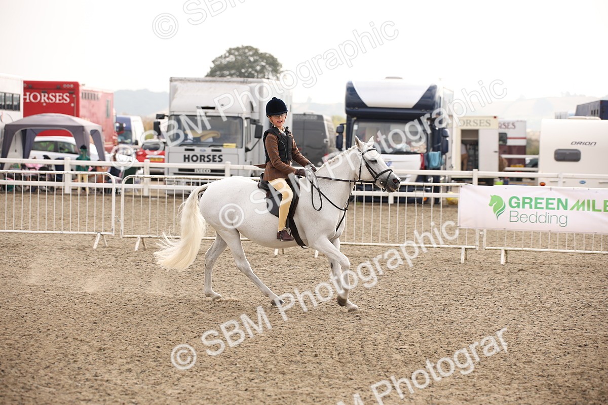 SBM_11655 - Class 404b Junior Working Veteran- 40cm(20+)