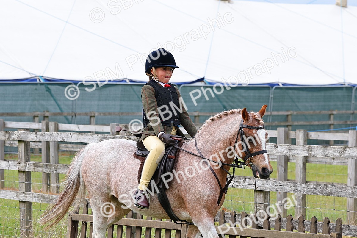 SBM_09617 - Class 44-45 - LIHS BSPS Open Nursery and Cradle Stakes
