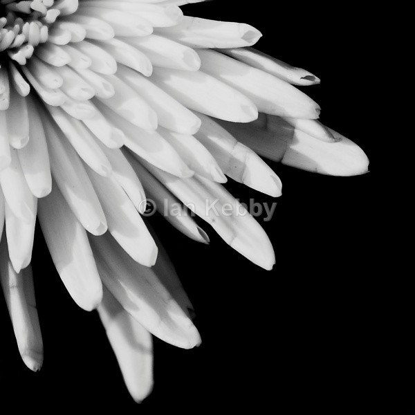  - Flora & Fauna