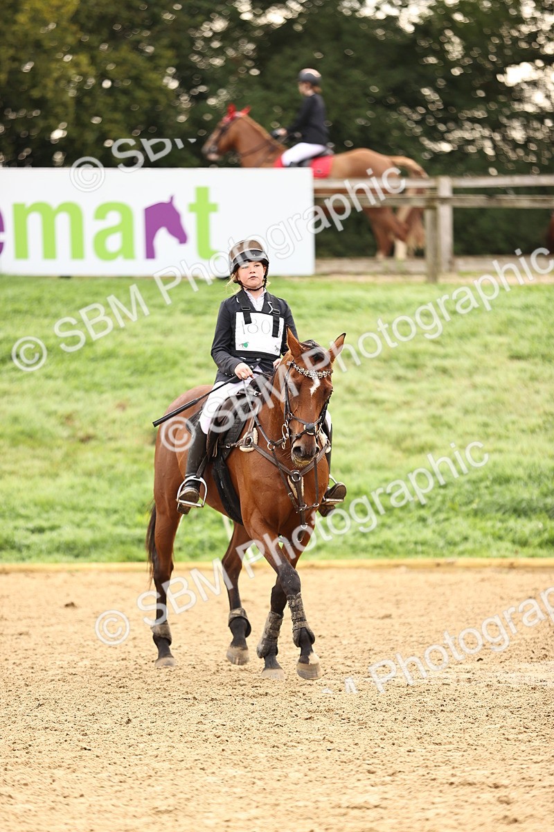 SBM_58402 - J41 - Grand Tour Horse & Pony 95cm