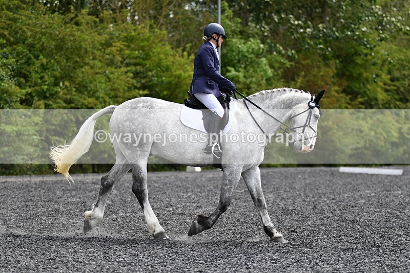 WJ5_1943 - Time 15:05 to 15:30